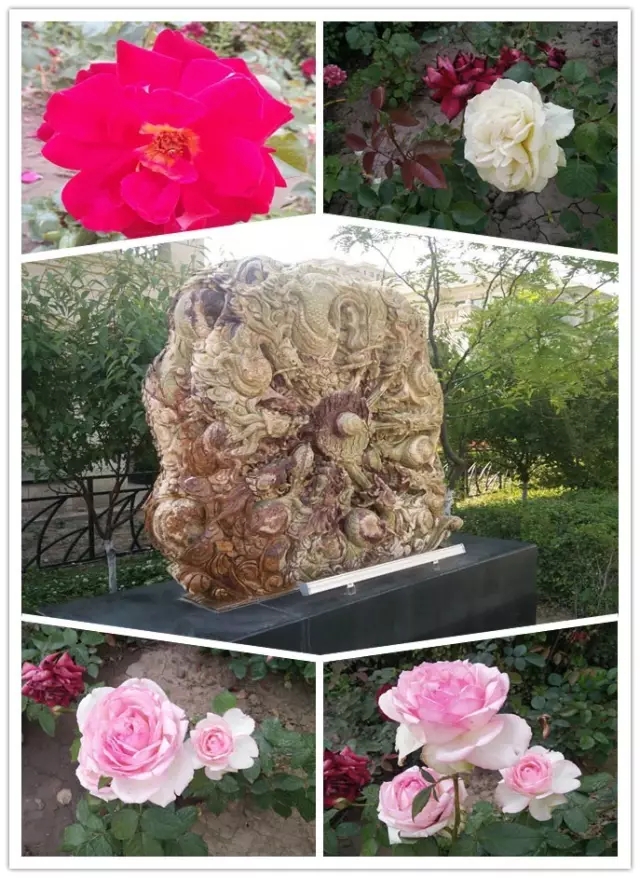 網(wǎng)勢(shì)科技6周歲生日快樂！